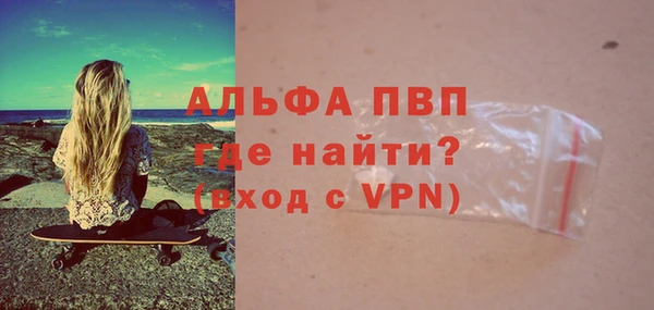 индика Алексин