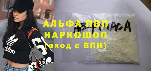 индика Алексин