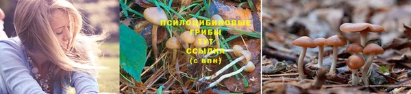 наркотики Алексеевка