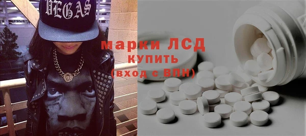 индика Алексин