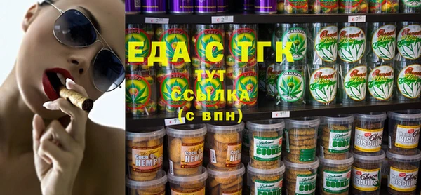 индика Алексин
