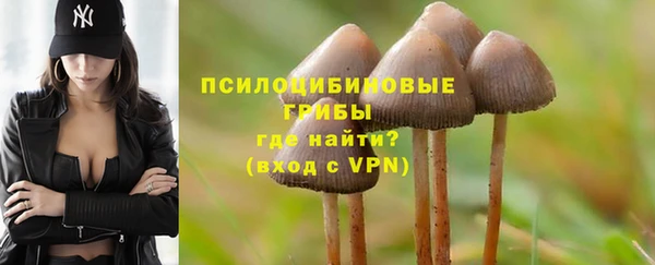 индика Алексин
