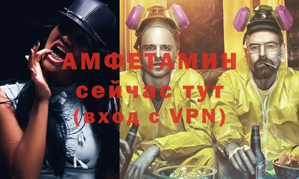 индика Алексин