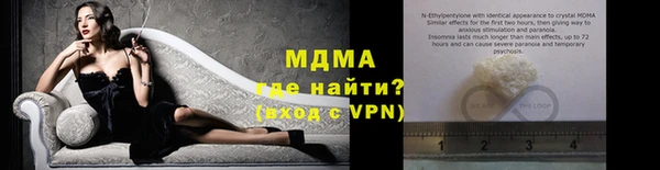 индика Алексин