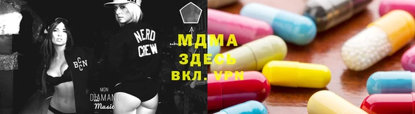 индика Алексин
