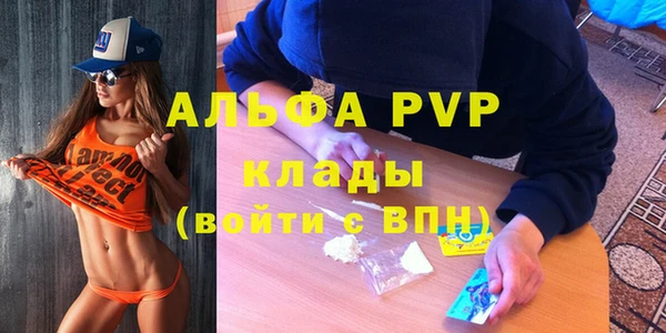 индика Алексин