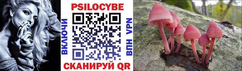 Псилоцибиновые грибы прущие грибы Киров
